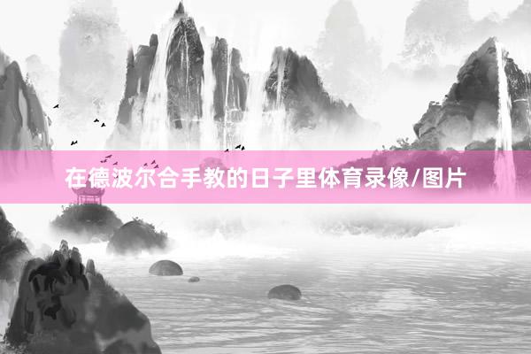在德波尔合手教的日子里体育录像/图片